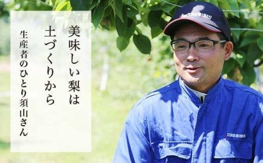 南水梨 約5kg 10-20玉 ［小布施屋］ なし 梨 果物 フルーツ 令和7年産 【2025年9月下旬～10月下旬発送】［A-210］
