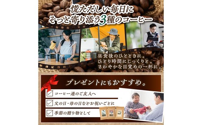 【栽培期間中農薬不使用】自家焙煎コーヒー豆 ホンジュラス　コパン 500g（250g×2） 約50杯分 小分け　豆・粉 選べる　HA00033