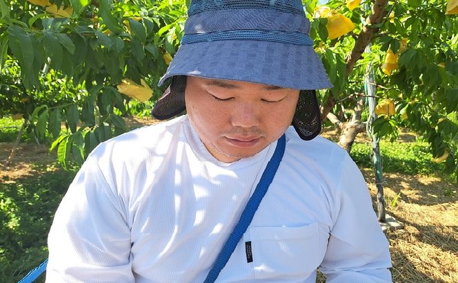 桃 2026年 先行予約 真面目な今井郁弥さん家の桃 白桃 白鳳 約1.8kg 6～8玉 フルーツ 果物 岡山 赤磐市産