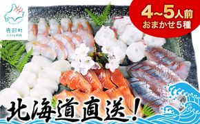 【順次発送】北海道産 旬のお刺身＜5種＞盛り合わせセット 約500g 約4～5人前 ほたて さくらます ほっけ いか たこ にしん つぶ貝 等