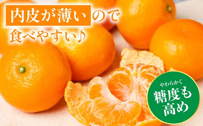 【先行予約】 八代市東陽産山本さん家の「熊本EC11みかん」 約5kg みかん 柑橘 フルーツ 果物 果実 ミカン 蜜柑 熊本県 八代市 【2026年11月上旬より順次発送】