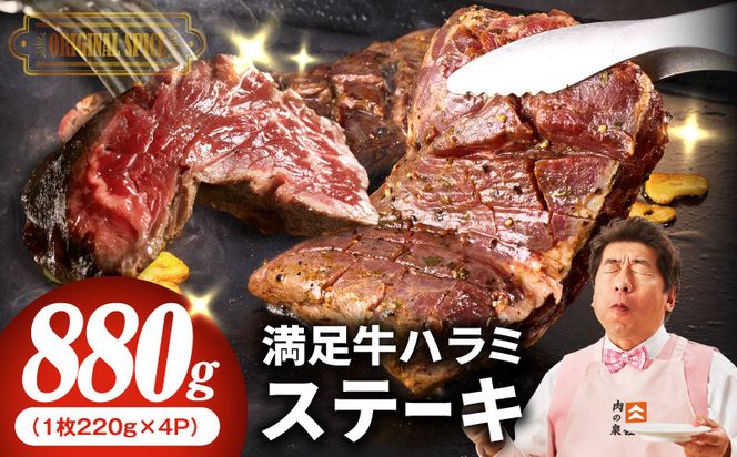099H4181 【満足牛ハラミステーキ】オリジナルスパイス仕込み 1枚220g×4P 合計880g 【味付け ハラミ ステーキ 小分け 焼くだけ 簡単調理 BBQ 牛肉】