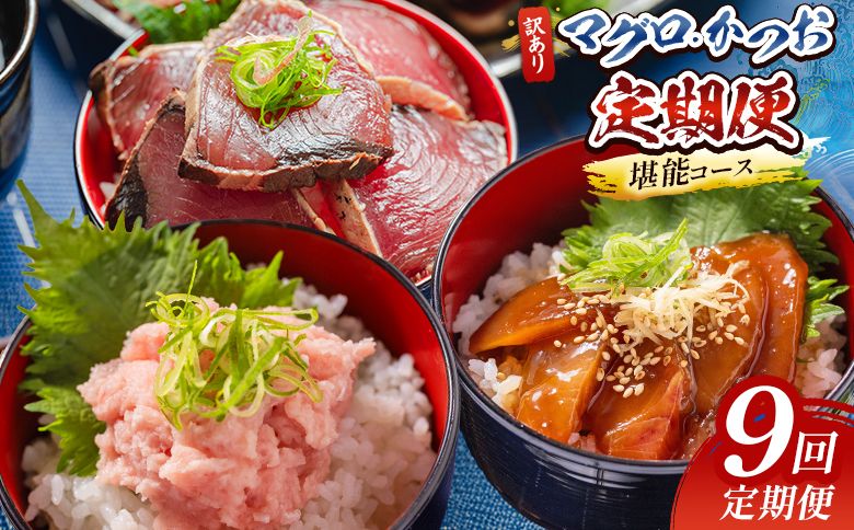 海鮮 定期便[9回定期便]マグロ かつお堪能定期便 - 訳あり マグロ 鮪 カツオ 鰹 漬けマグロ たたき ネギトロ 配送回数 定期便 小分け 海鮮 魚介 冷凍食品 加工品 海鮮丼 刺身 株式会社大熊 高知県 香南市 冷凍 Wda-0057