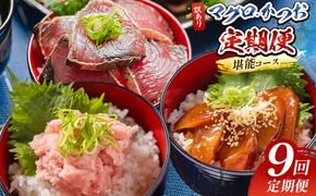 海鮮 定期便【9回定期便】マグロ かつお堪能定期便 - 訳あり マグロ 鮪 カツオ 鰹 漬けマグロ たたき ネギトロ 配送回数 定期便 小分け 海鮮 魚介 冷凍食品 加工品 海鮮丼 刺身 株式会社大熊 高知県 香南市 冷凍 Wda-0057