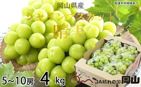 ぶどう 2026年 先行予約 シャイン マスカット 晴王 5房～10房 約4kg ブドウ 葡萄  岡山県産 国産 フルーツ 果物 ギフト シャインマスカット 美しい 大粒 種なし 弾力 高糖度 甘い 