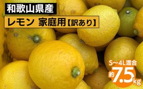 【先行予約】【訳あり・ご家庭用】和歌山県産 レモン 約7.5kg S～4Lサイズ混合 柑橘