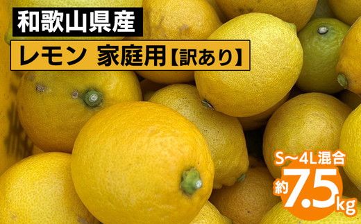【先行予約】【訳あり・ご家庭用】和歌山県産 レモン 約7.5kg S～4Lサイズ混合 柑橘