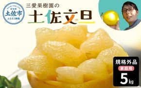 文旦 約5kg 5キロ L～4Lサイズ 土佐文旦 みかん 柑橘 ぶんたん ブンタン 果物 フルーツ デザート おやつ 三愛果樹園の土佐文旦 おいしい 美味しい 規格外品 お取り寄せ 常温 配送