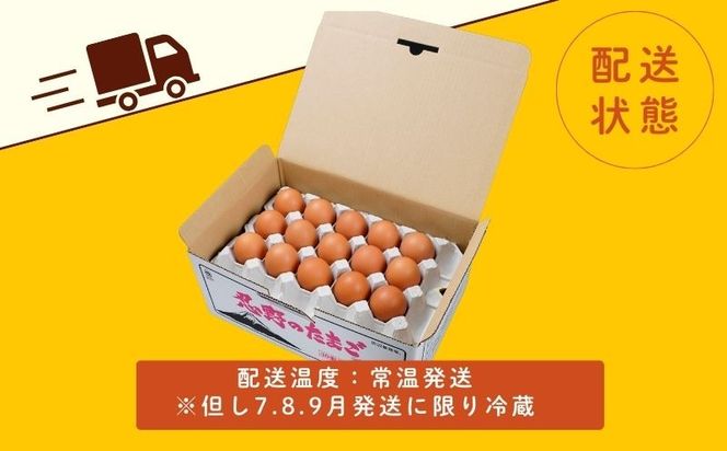 富士山の恵“忍野のたまご“‐コクの赤玉‐80個入　KC003