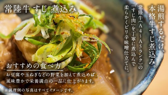 やわらか 常陸牛 すじ煮込み と すじカレー セット 各2パック 【茨城県共通返礼品】　カレー 牛すじ 煮込み お肉 牛肉 簡単 冷凍 レトルト