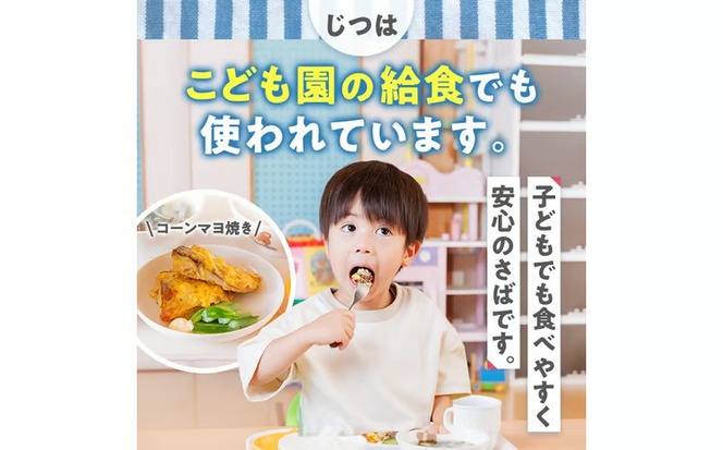 ＜定期便・全3回 (隔月)＞ 訳あり・業務用さば 切り身 (総計約3.6kg・40g前後×90切) 訳あり 業務用 さば 切り身 セット 冷凍 国産 切身 魚 海鮮 おかず 骨抜き 骨なし 骨取り 鯖 お弁当 惣菜 簡単調理 無塩フライ 塩焼き 味噌煮【AQ92】【やまろ渡邉】