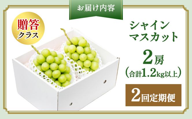 ぶどう 2026年 先行予約 2回 定期便 プレミアム シャインマスカット 2房(1.2kg以上)  贈答クラス ブドウ 葡萄 岡山県産 国産 フルーツ 果物 ギフト OEC KINGDOM ぶどう家 果物類