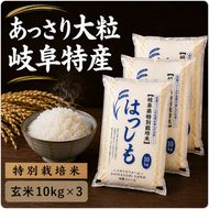 【令和7年産】特別栽培米 30kg【玄米】（ハツシモ）
