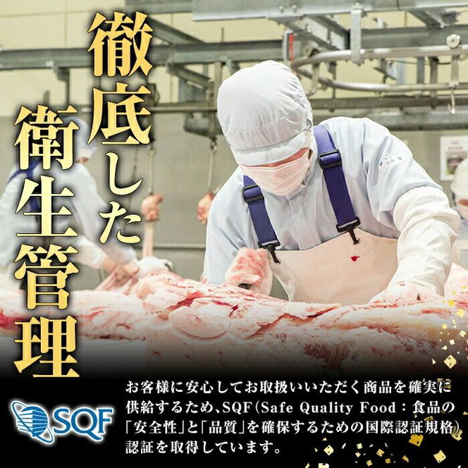 ＜定期便・全3回(隔月)＞鹿児島県産黒毛和牛5等級！カタ(ウデ)スライス(総量3.6kg・約1.2kg×3回) 国産 牛肉 赤身 カタ肉 肩肉 ウデ肉 スライス肉 ウデスライス 薄切り しゃくし すき焼き すきやき しゃぶしゃぶ おかず 個包装 冷凍配送 定期便 【スターゼン】akn042-64