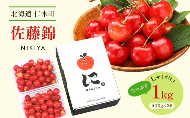 先行受付 北海道 仁木町産 さくらんぼ 佐藤錦 1kg（500g×2）Lサイズ以上 ジューシー 旬のフルーツ 旬の果物 国産 日本産 サクランボ チェリー フルーツ 果物 果物類 ギフト 仁木町 [ジャパーナプランニング株式会社]