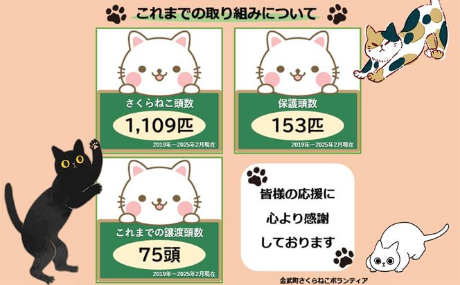 【お礼の品なし】沖縄県金武町でネコを救う　保護猫活動などをサポート（3万円）