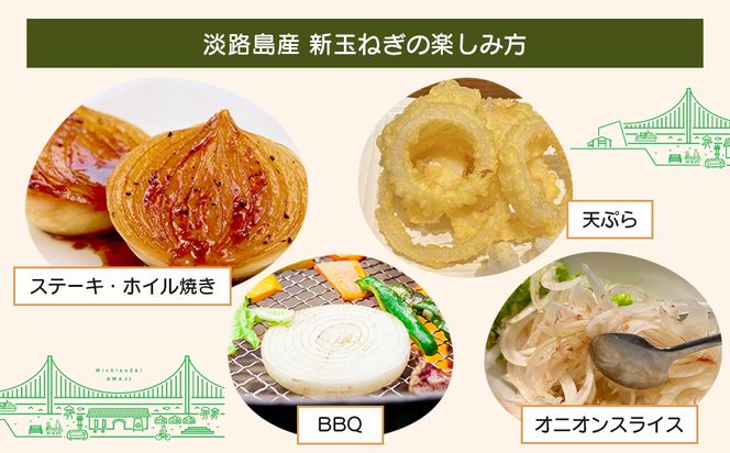 道の駅あわじ厳選新玉ねぎ５kg【発送時期2026年5月頃】