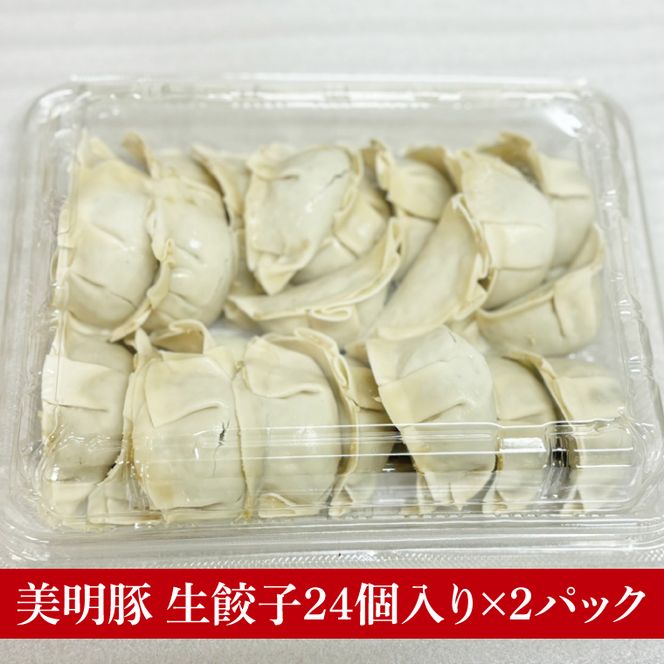 【数量限定】【最短7日発送】ブランド豚 肉屋が作る 美明豚 生餃子 24個入り×2パック 肉 豚肉  国産 茨城県産 すぐ 届く(HI-5)