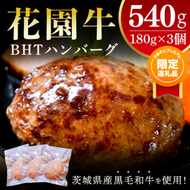 【ふるプレ限定品】花園牛　BHTハンバーグ 180ｇ×3個【ハンバーグ 肉 お肉 贅沢 冷凍 茨城県 北茨城市】(BY002)