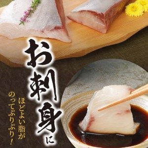 〈数量限定〉日向灘ぶり　はまち　うまみ極点製法　食べきりパック　300g　N124-YZA3304