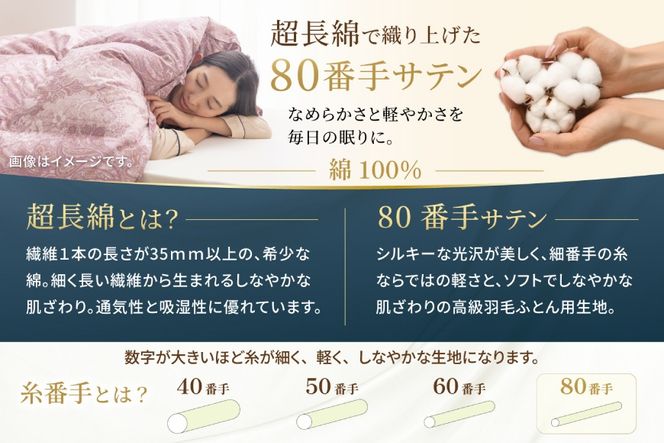 訳あり 羽毛布団 シングル 冬用 色柄おまかせ 掛け布団 冬 本掛け ブルガリア産 ホワイトダックダウン 93％ 1.3kg 400dp 80番手 サテン 布団 ふとん 羽毛ふとん 掛布団 日本製 数量限定 寝具 羽毛掛け布団 訳アリ ダウン ダウンケット [川村羽毛 山梨県 韮崎市 20743597]
