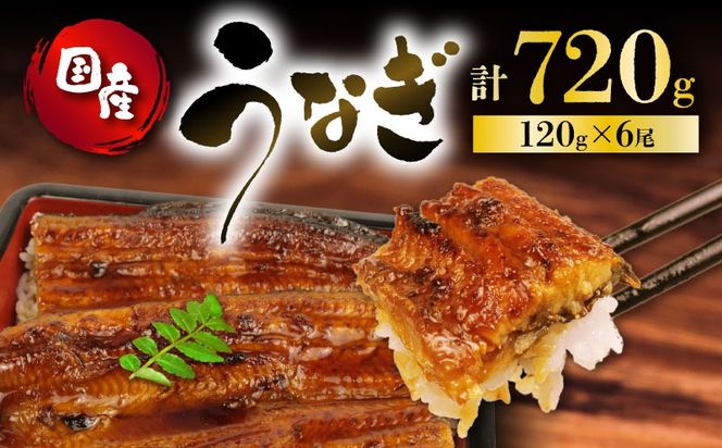 うなぎ 国産 蒲焼 120g × 6尾 計720g 鰻蒲焼 ウナギ 土用 丑の日 JAS認定 活鰻 特製無添加たれ 山椒 ギフト 贈答 冷凍 養殖 真空パック レンジ 調理 湯煎 まとめ買い 静岡県 藤枝