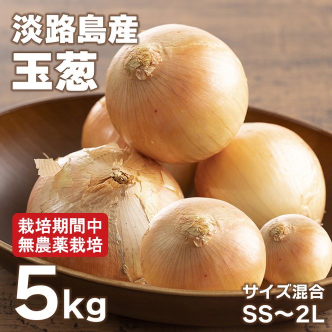 淡路島玉葱 5kg 【栽培期間中、無農薬栽培】サイズ混合SS～2L 玉ねぎ