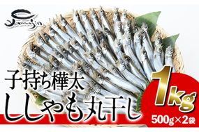 子持ち樺太ししゃも丸干し (計1kg・500g×2袋) 干物 ししゃも シシャモ 丸干し 魚 海鮮 冷凍 大分県 佐伯市【AP82】【(株)ヤマジン】