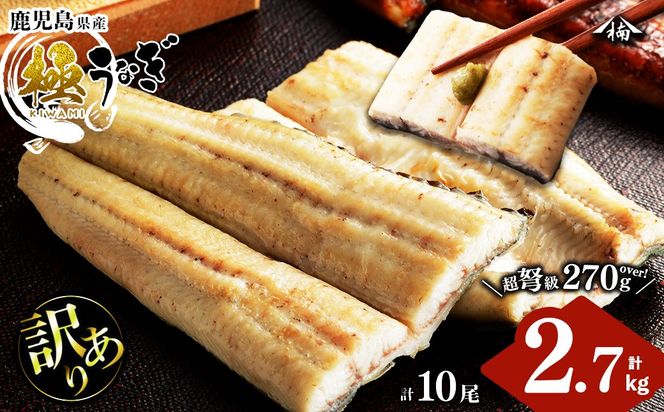 yuzuszy󂠂zYIc̋ɂȂĂ 10(v2.7kgȏE1270g`299g) wa0-004