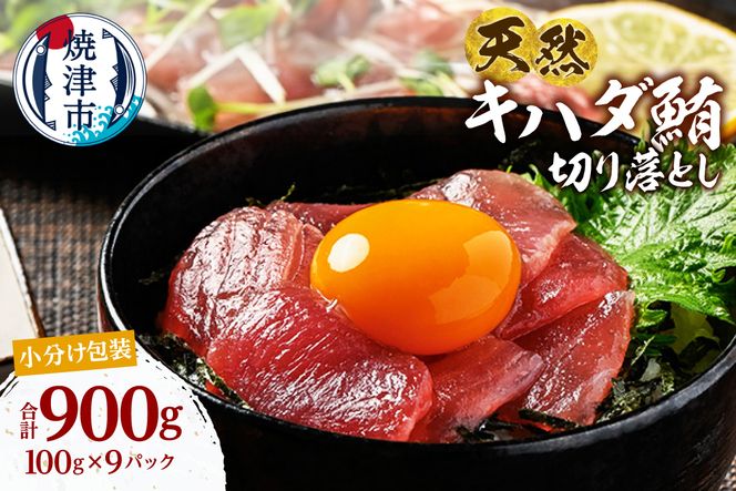 a12-279　天然 キハダマグロ 一口サイズカット 刺身 小分け セット 赤身 1パックあたり 100g 海鮮丼 刺身 寿司 漬け丼 焼津 海の極 900g（100g× 9パック）