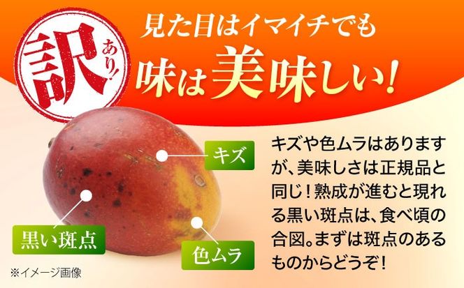 【2026年発送】 訳あり 完熟マンゴー 約4kg (約2kg×2箱) マンゴー 沖縄 果物 フルーツ ギフト 沖縄市 / ちゃんぷる〜市場[BCAA007]
