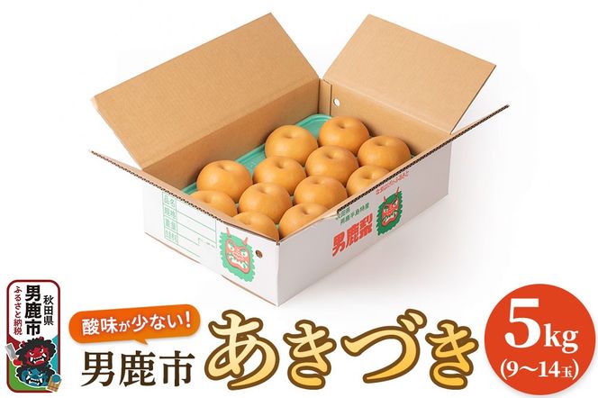 【令和8年度 早期受付】あきづき 5kg 9～14玉 梨 なし ナシ 秋田県 男鹿市 旬の果物 フルーツ|23_fre-040501