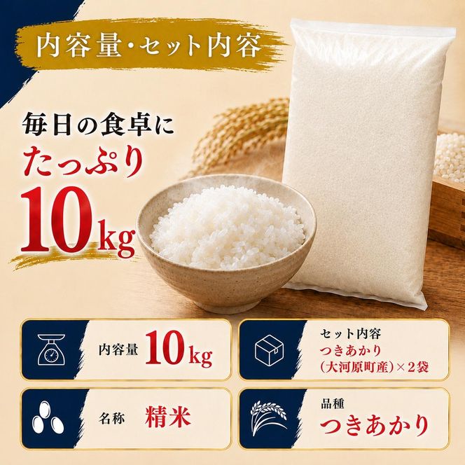 つきあかり 定期便 7回/10kg（5kg×2袋） 令和8年産 新米 ブランド米 白米 精米 【小分け】 宮城県大河原町産