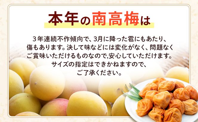 訳あり 紀州南高梅 小梅 まごころ しら干し 90g ×8パック 塩分約20％ ［TR8w］ 304018_CS024