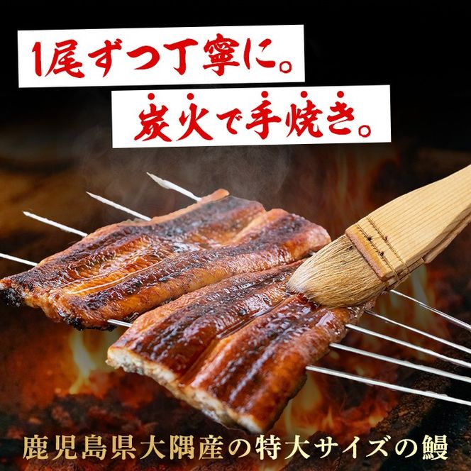 【0174319a】東串良町のうなぎ炭火蒲焼(無頭)(2尾・計約320g・タレ、山椒付) うなぎ 高級 ウナギ 鰻 国産 蒲焼 蒲焼き たれ 鹿児島 ふるさと 人気【アクアおおすみ】