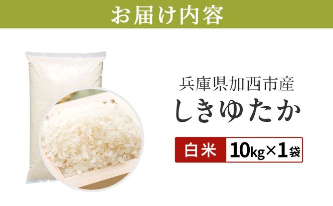 【令和8年産 先行受付】しきゆたか 白米 10kg