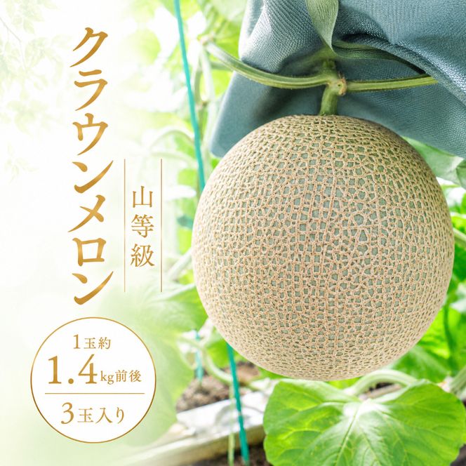 クラウンメロン山等級1.4kg前後　3玉入り 果物 メロン青肉 フルーツ デザート 高級メロンブランド 高級メロン ブランドメロン