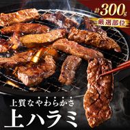 焼肉 武蔵で人気の柔らか上ハラミ(300g)　YM00005