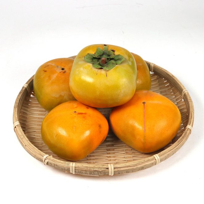 ［先行予約］家庭用 たねなし柿 約1kg［訳あり］［刀根早生・平核無柿（ひらたねなしかき）］［カキ・種無柿・種無し柿・種なし柿・無核柿］［IKE317］ 303446_BB90225