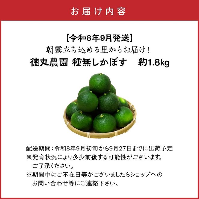 【令和8年9月発送】朝霧立ち込める里からお届け！徳丸農園 種無しかぼす約1.8kg_2177R