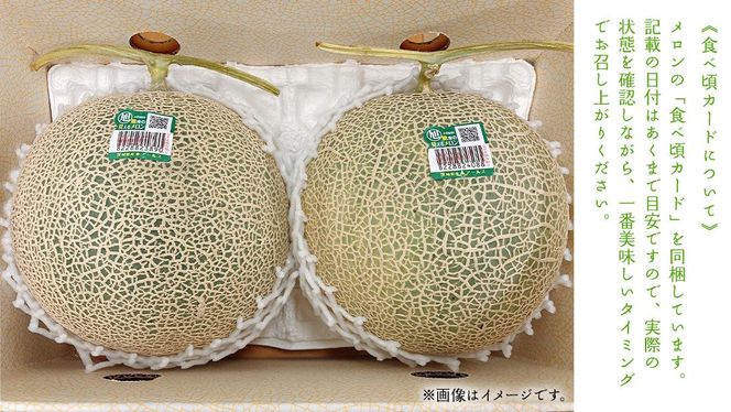 【5月下旬頃より発送】茨城県産 青肉・赤肉メロンセット 秀品または優品 3Lまたは4Lサイズ×各1玉入 おすすめ JA全農いばらき JA メロン めろん フルーツ くだもの 果物 国産旬 定番 旬 期間限定 青肉 赤肉 食べ比べ アンデス クインシー エルソル