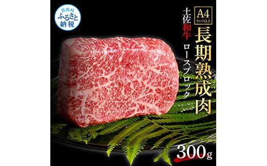 【CF-R7hbk】TKA207　天下味 エイジング工法 熟成肉 土佐和牛 特選ロースブロック 300g エイジングビーフ ロース 牛 ブロック 国産 肉 牛肉 和牛 人気 老舗焼肉店 冷凍 食品 新鮮 真空パック 高級 お祝い 高知 高知県 芸西村 故郷納税 19000円 返礼品 贈り物 贈答 ギフト