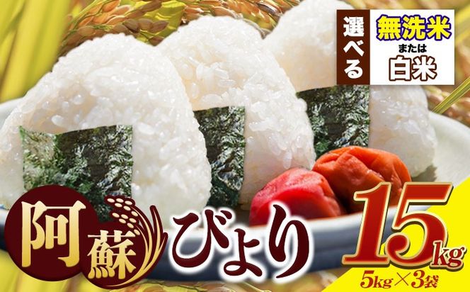 米 早期先行予約受付中 白米 無洗米 訳あり 送料無料 15kg 5kg×3袋 熊本県産 阿蘇びより《11月-12月頃出荷予定(土日祝除く)》 お米 コメ こめ 国産 熊本県 南阿蘇村 阿蘇 びより---mna_aby_24_h_15kg_26500_af11---