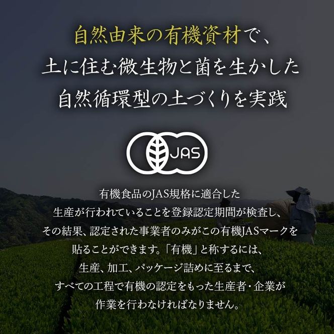 有機茶園 ほうじ茶 ティーバッグ (2.5g×10包)  3袋セット 無農薬 焙じ茶 オーガニック茶園 静岡県産 深蒸し煎茶 岡部茶 日本茶 静岡県 飲料 飲み物 健康 カテキン ビタミン 静岡県 藤枝市