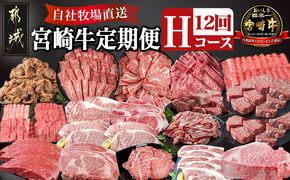 宮崎牛定期便(12回お届け) Hコース_N25-008-T12 宮崎牛 肩ロース ウデ モモ バラ ロース サーロイン カルビ リブロース 味噌漬け スライス 切り落とし ブロック サイコロ 鉄板焼き ステーキ しゃぶしゃぶ