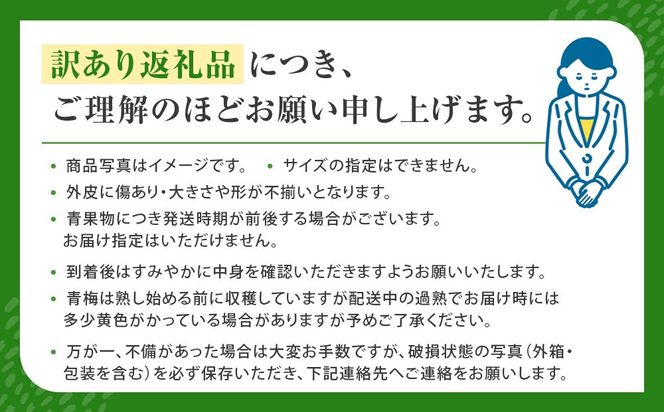 青梅 3kg 訳あり 紀州南高梅 シロップ・梅酒・梅干し用など 和歌山県有田産 2026年5月下旬～7月上旬発送予定   CE060