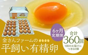【定期便6回】【平飼い有精卵】60個入（54個+割れ保証6個） 合計360個 たまご 卵 玉子 鶏卵 平飼い 有精卵 定期便