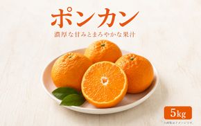 紀州和歌山有田産ポンカン 約5kg ※2027年1月下旬頃～2027年2月上旬頃に順次発送予定（お届け日指定不可）【uot722】