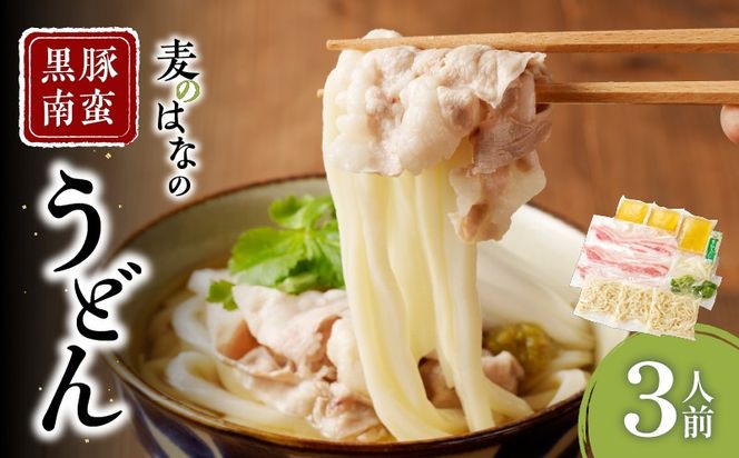 麦のはなの黒豚南蛮うどん【3人前】　K071-002