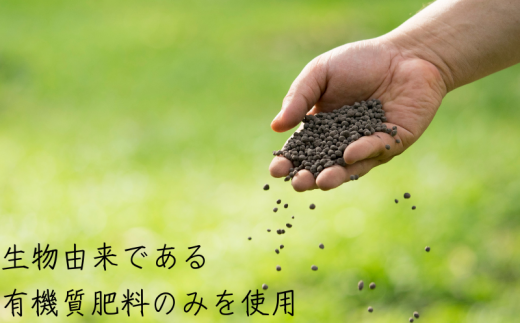  【先行予約】温州みかん 「小粒っこ」 10kg (極早生・早生・中生・晩稲)【2S～3Sサイズおまかせ】【2025年10月中旬～2026年1月下旬までに順次発送】＜味好農園＞/温州 みかん 小玉 蜜